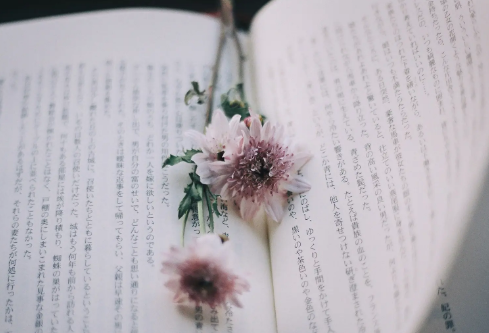 1690171798382371.png image.png