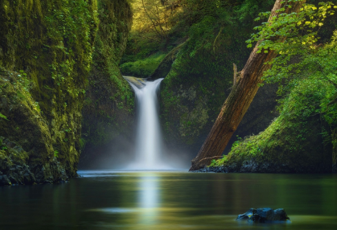 1690180462959956.png image.png