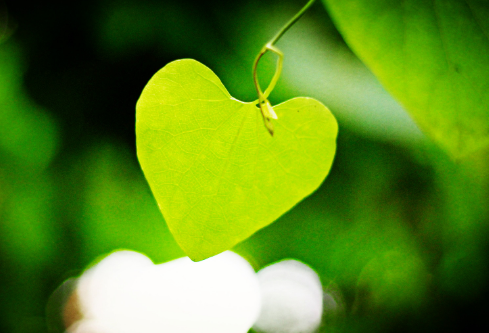 1690200462342089.png image.png