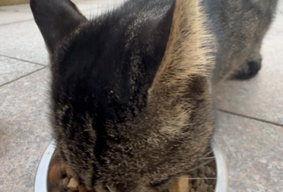 ​微信朋友圈很伤感的短句 【100句精选】