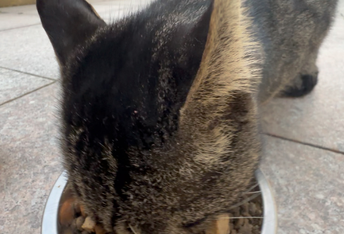 1690201128479092.png image.png