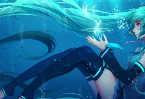 1690204625168761.png image.png