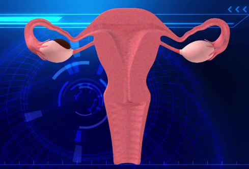 1690216308627814.png image.png