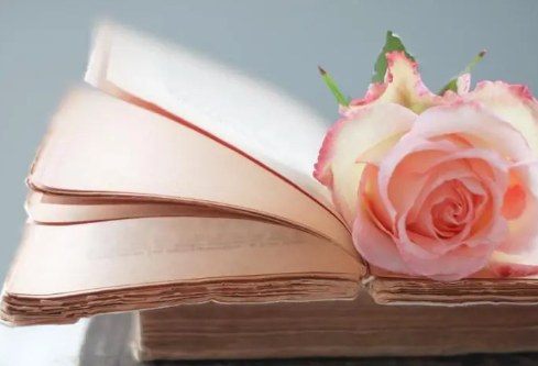 1690216808127357.png image.png