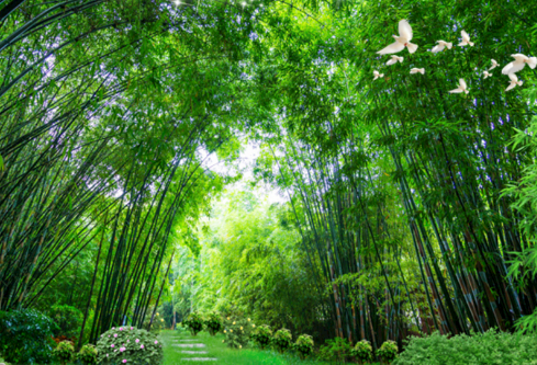 1690309105954210.png image.png