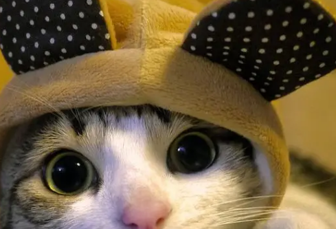 1690379110478283.png image.png