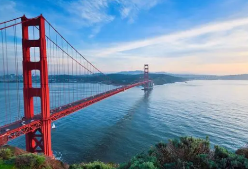 1690380653479892.png image.png