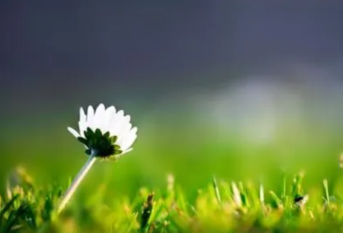 1690381682186687.png image.png