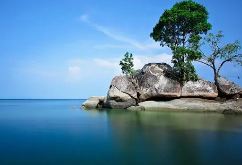 1690383055280253.png image.png