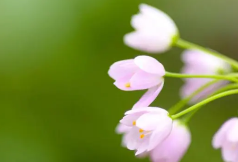 1690384942843098.png image.png