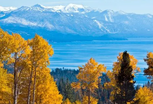 1690385113174727.png image.png