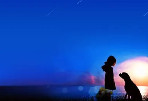 1690387172216807.png image.png