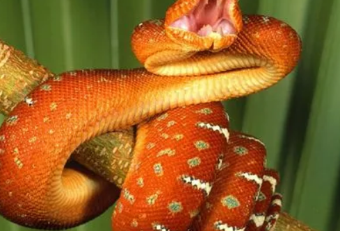 1690387344121572.png image.png