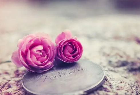 1690387858427504.png image.png