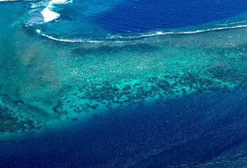 1690431738991502.png image.png