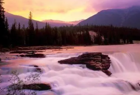 1690433796660434.png image.png