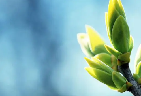 1690434311198300.png image.png