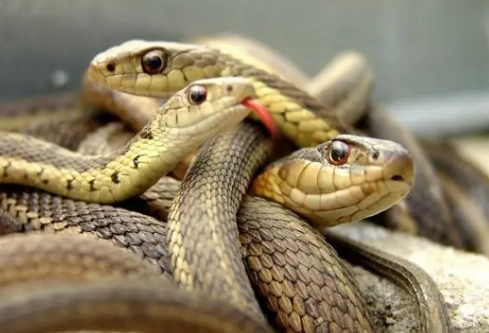 1690434826875639.png image.png