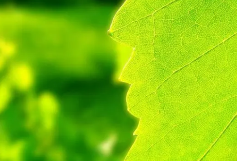 1690435340342026.png image.png