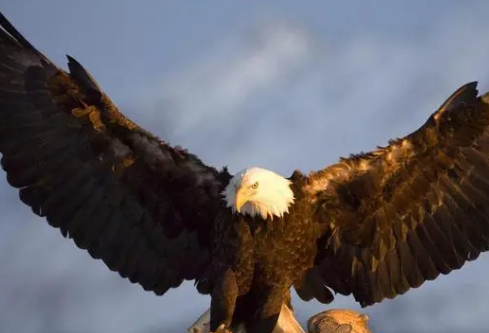 1690438607693512.png image.png