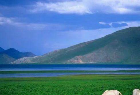 1690440320154242.png image.png