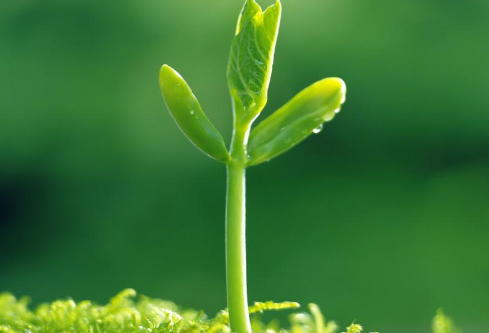 1690441006552734.png image.png