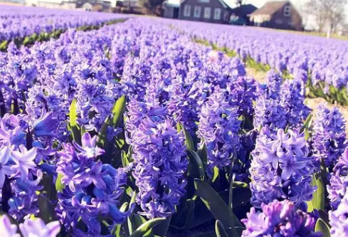 1690442891631925.png image.png