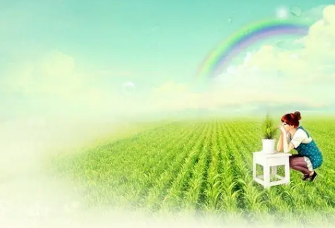 1690447004328313.png image.png