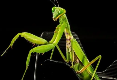 1690447176643746.png image.png