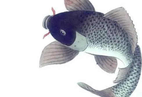 1690450432540280.png image.png