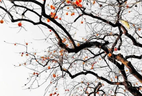 1690451117462634.png image.png