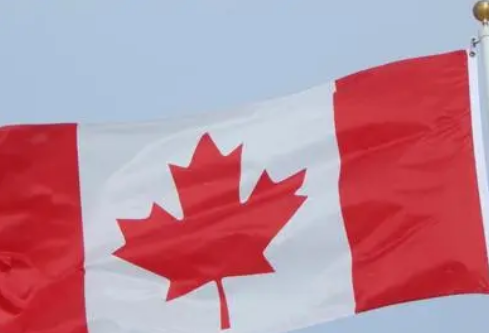 1690455916913236.png image.png