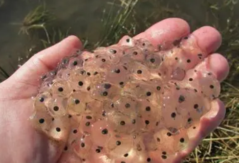 1690457289378218.png image.png