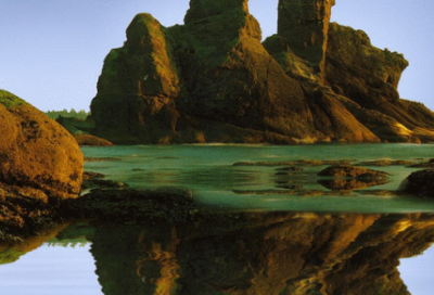 ​《傅雷家书》经典语录摘抄