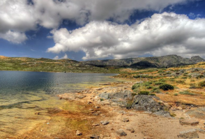 ​席慕容的经典语录