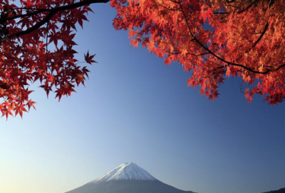 ​感谢语录句句经典语录