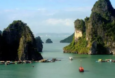 ​蝴蝶兰经典说说