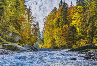 ​曾国藩经典十句话