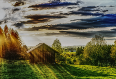 ​普洱茶诗句经典语录