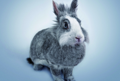 ​经典超拽霸气的说说