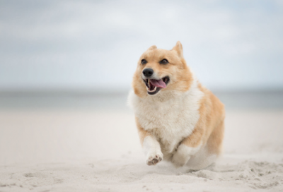 ​佛系语录经典已知结局