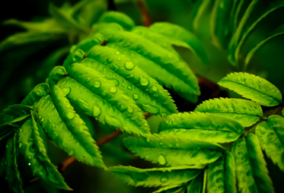 ​拖鞋发朋友圈经典句子