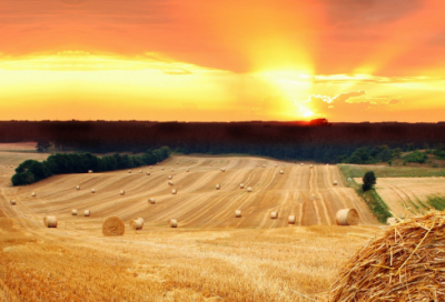 ​王阳明经典语录100句