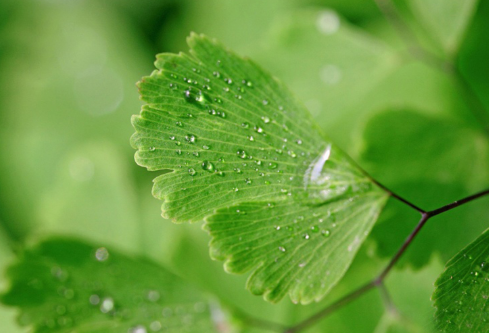 1690884047991421.png image.png