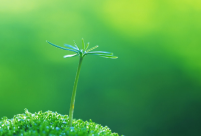 ​激励高中生的经典励志语录