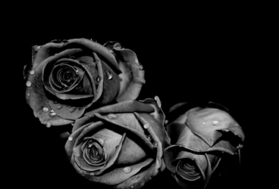 ​美食句子经典语录人世间唯有爱和美食