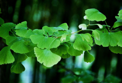 ​美食的句子经典语录