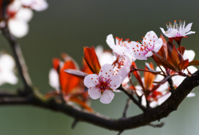 ​经典广告语录