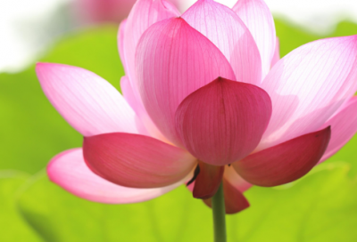 ​美食句子经典语录梦见别人把自己砍伤了