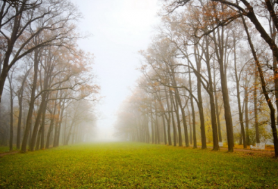 ​将进酒经典语录句子爱国